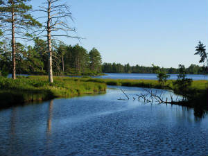 seneywetlands.jpg