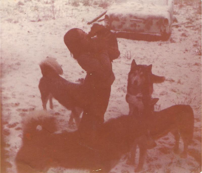 alanhuskies.jpg