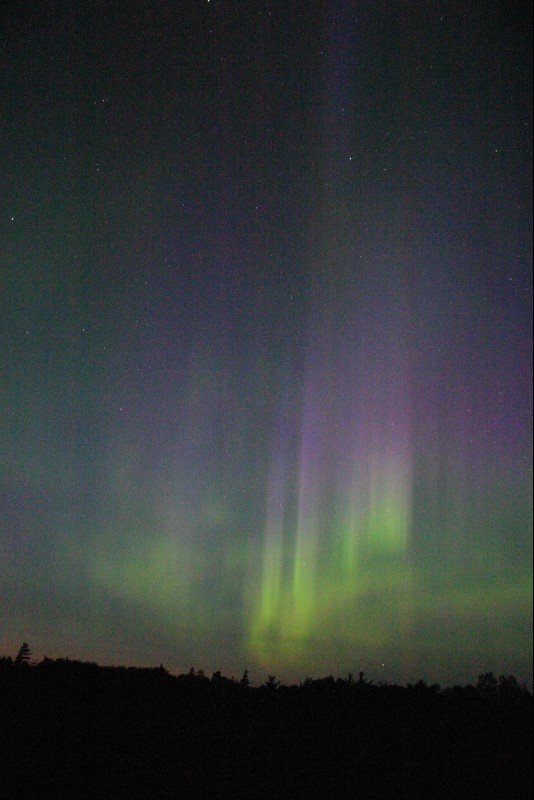 auroraridley1.jpg