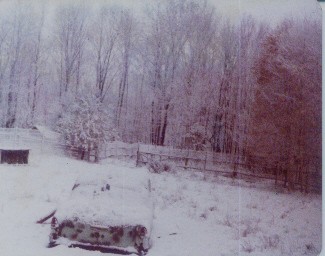 backyardsnow.jpg