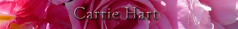 banner-carrie-on-rose.jpg
