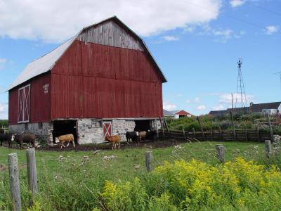 barn.jpg