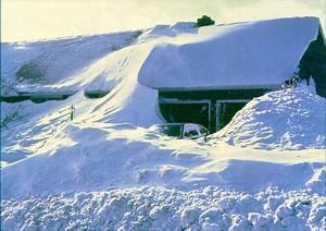 housesnow.jpg